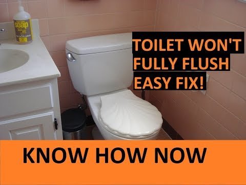 Toilet Not Clogged But Not Flushing Properly